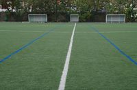 FFIMHSC012.JPG
